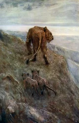 On the Alert - Lioness and Cubs, c1878-1910, 1912