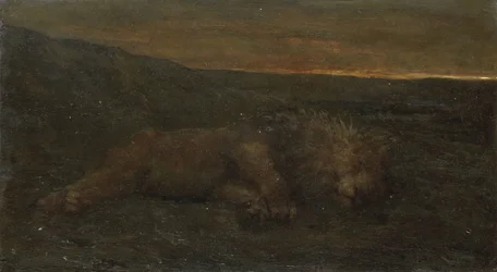 Sleeping Lion by Night