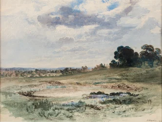 Landscape (Possibly Richmond Park, London)
