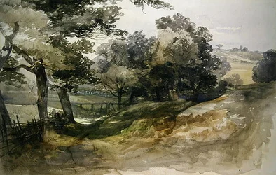 A Shady Lane, Tunbridge Wells