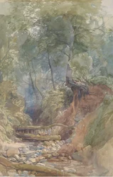 A Stream Near Clovelly, North Devon