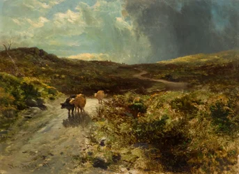 The Drove Road