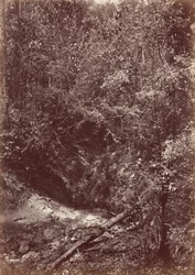Darien Expedition, 1871