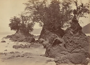 Islands, Limon Bay, 1871