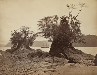 Islands in Limón Bay, 1871
