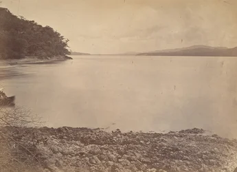 Tropical Scenery, Darien Harbor - Looking South