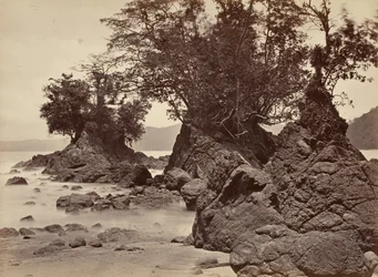 Tropical Scenery, Limon Bay - Low Tide, 1871