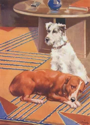 Illustration for Beautiful Joe by Marshall Saunders