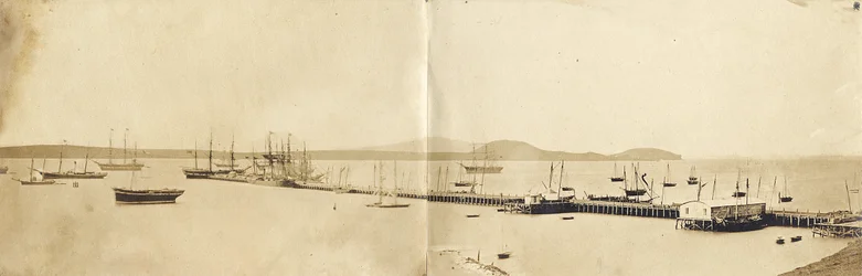 Auckland Harbour