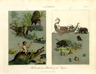 The Leviathan and Behemoth of the Scriptures