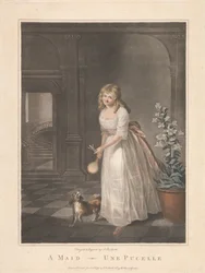 A Maid