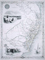 New South Wales, from a Series of World Maps published by John Tallis & Co., London & New York