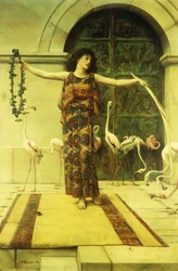 Dance of the Flamingos