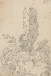 Perpendicular Rock and Trees