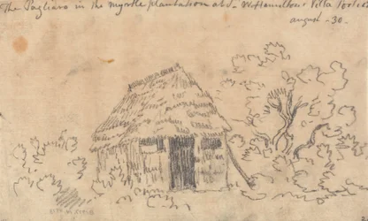 The Pagliaro in the Myrtle Plantation at Sir William Hamilton