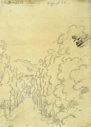 Woodland, from an Album of Tracings