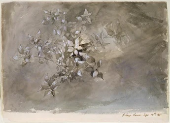 Study of Foliage
