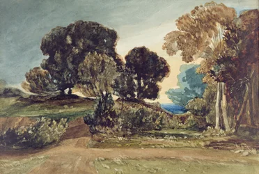 A Wooded Park
