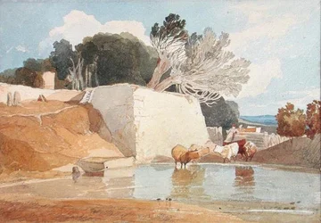 Cattle Watering