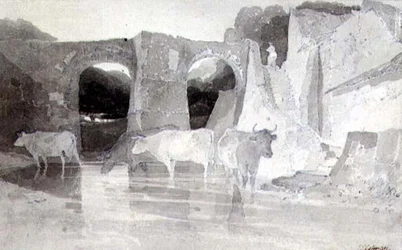 Cattle in a River