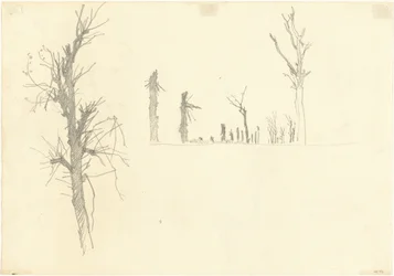 Devastated Trees