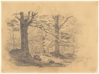 Forest, Ramsau, Germany, 1871