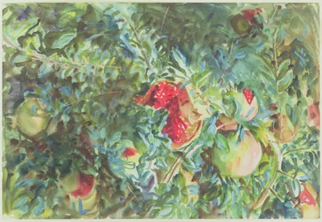 Pomegranates, 1908