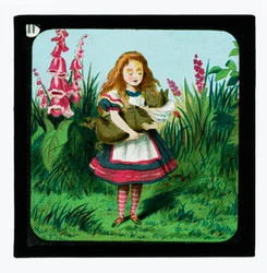 Alice in Wonderland, Coloured Lantern Slides
