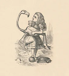 Alice Tries to Play Croquet with a Flamingo as a Mallet
