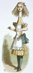 Alice with a Long Neck