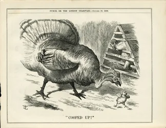 Illustration of John Tenniel in Punch