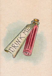 The Bottle