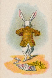 The Rabbit Running Away