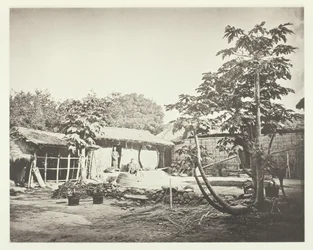A Pepohoan Dwelling