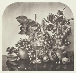 Fruit