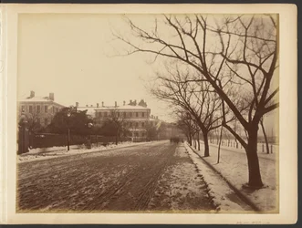 Snowy Road