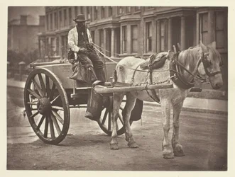The Water-Cart