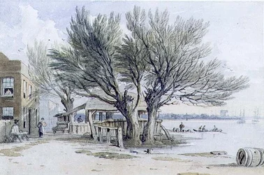 Buildings and Pollarded Trees on the Banks of the Thames, Millbank