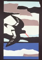 Oystercatcher