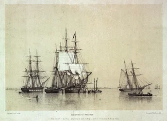Marine Studies, Merchant Vessels