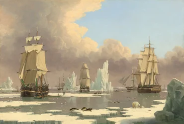 The Northern Whale Fishery: The 