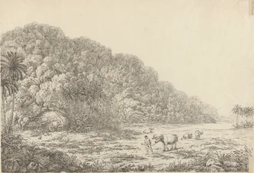 View in the Island of Pulo Condore