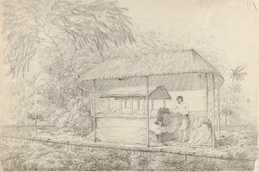 Waheiadooa, Chief of Oheitepha, Lying in State