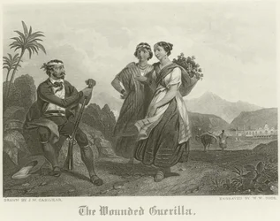 The Wounded Guerilla
