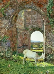 The White Doe of Rylstone