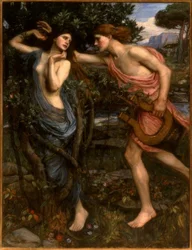 Apollo and Daphne