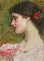 Camellias