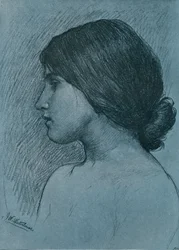 Study of a Head