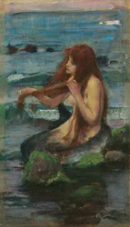 The Mermaid