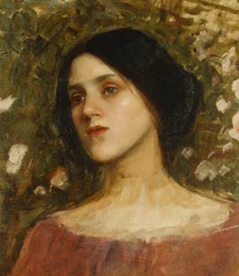 The Rose Bower